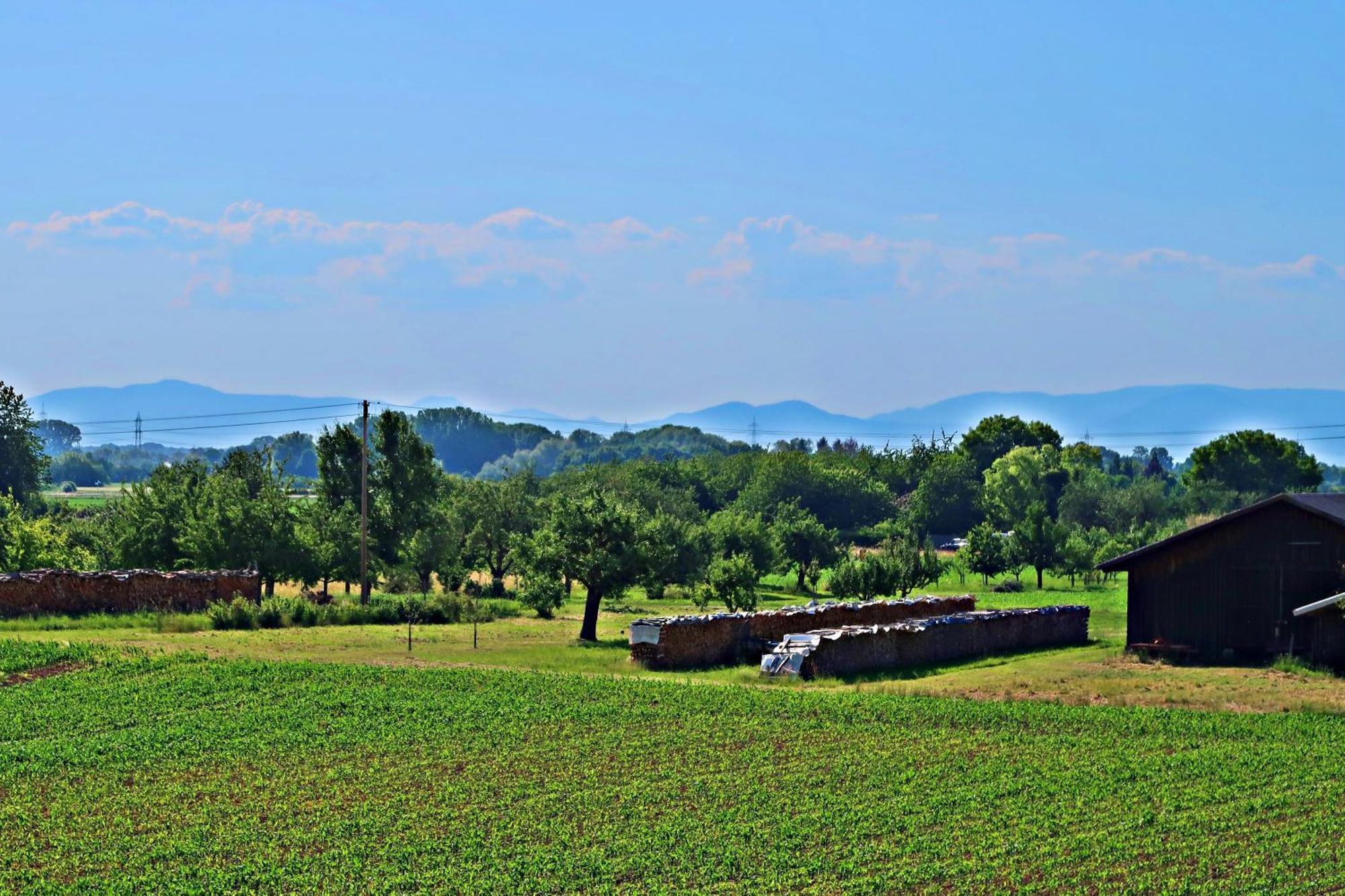 Gaestehaus Heimelig Herbolzheim Esterno foto